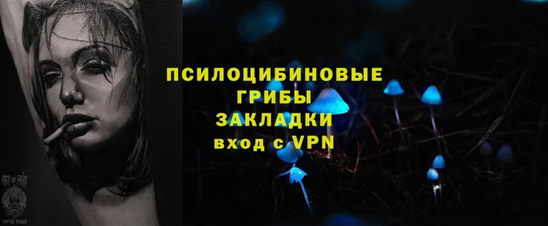 купить  сайты  Новоалександровск  Галлюциногенные грибы мухоморы 